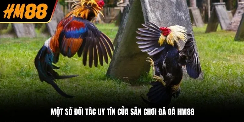 Một số đối tác uy tín của sân chơi đá gà HM88